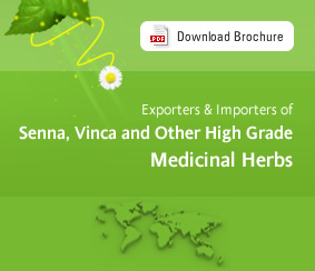 Exporters and Importers of Senna, Vinca and Other High Grade Medicinal Herbs