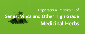 Exporters and Importers of Senna, Vinca and Other High Grade Medicinal Herbs